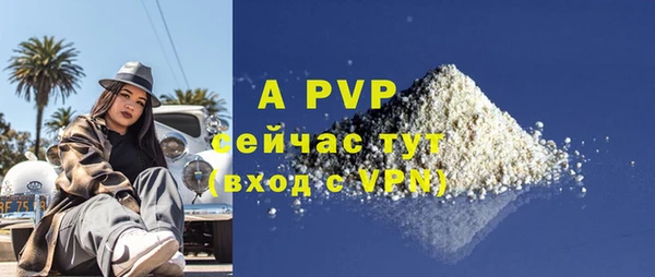 дживик Белокуриха
