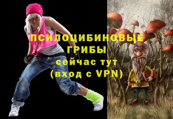 дурь Белоозёрский