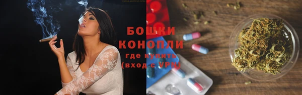 дживик Белокуриха