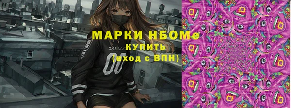 дживик Белокуриха