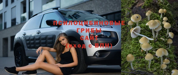 дурь Белоозёрский
