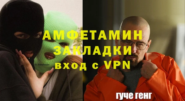 шишки Болотное
