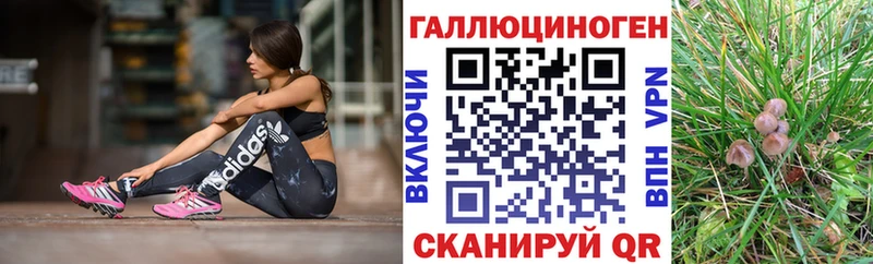 Псилоцибиновые грибы мицелий Мостовской